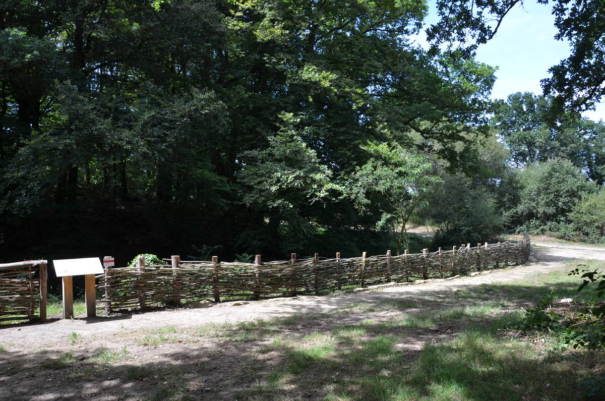 1674033985-285960323