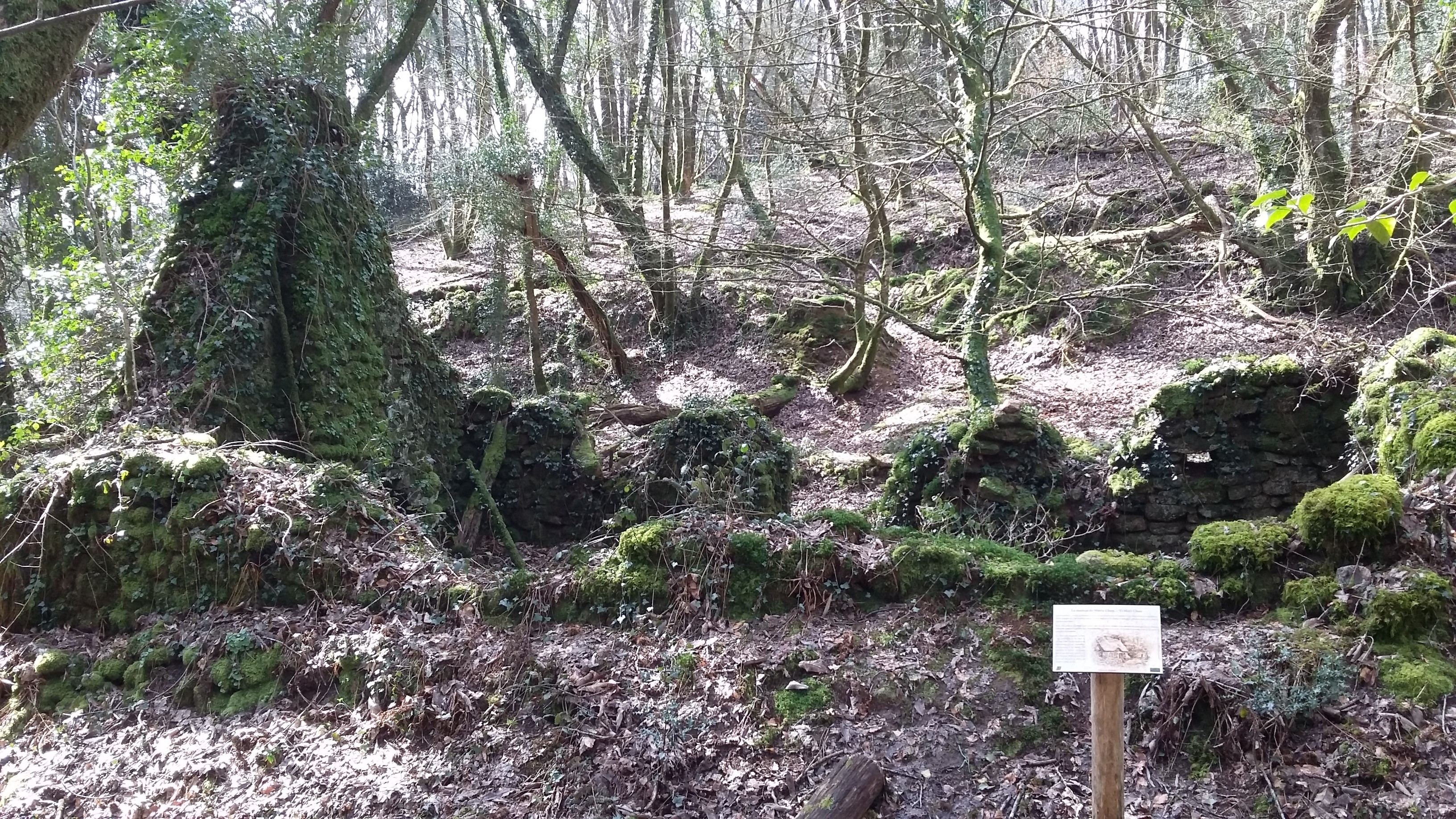 20180405_115045 20180405_115045