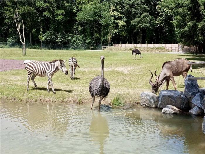 Château et Parc zoologique de la Bourbansais - Pleugueneuc - ©LaBourbansais