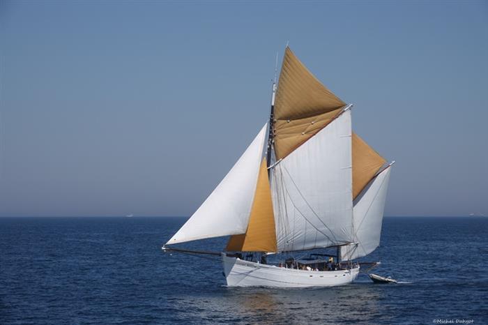3 - 