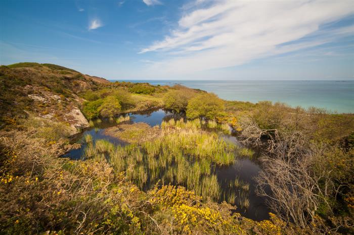 4.La pointe de la Garde Guérin_V.Bauza - 