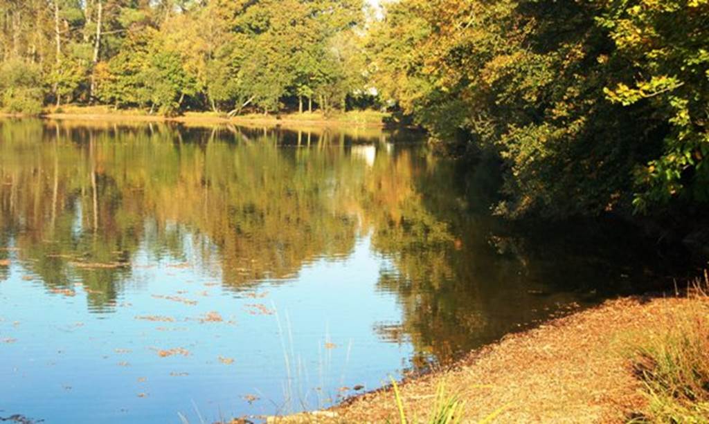 Etang de Kernevy - Saint-Dolay - Morbihan Bretagne Sud