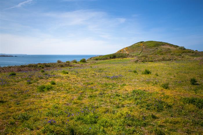 7. La pointe de la Garde Guérin_V.Bauza - 