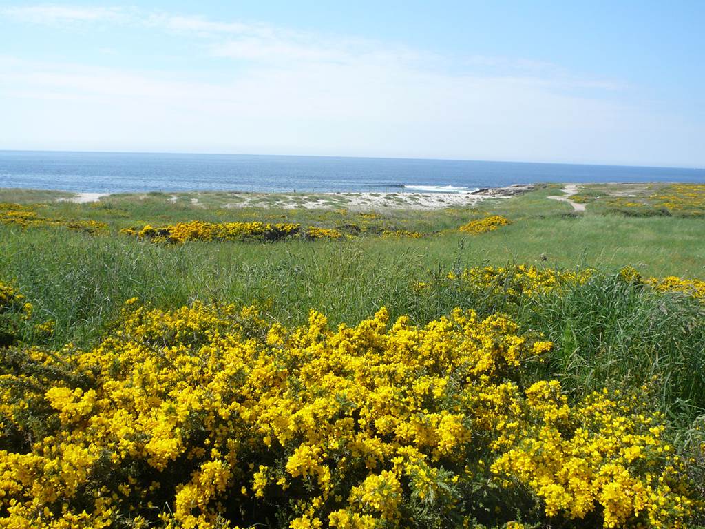 Plage-des-Kaolins-Ploemeur-Morbihan-Bretagne-Sud