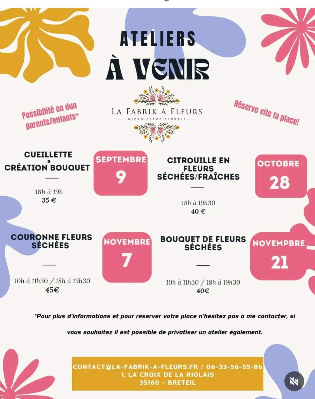 Atelier Couronne en fleurs séchées