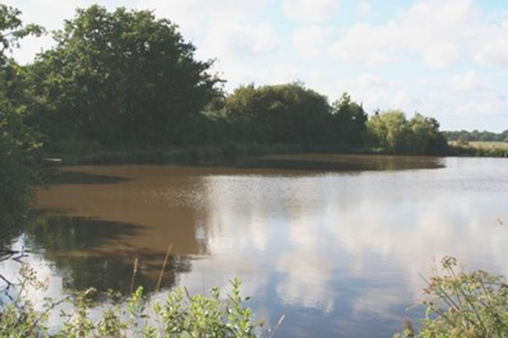 Aire Naturelle du Listy, étang