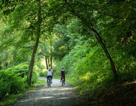 Balade à vélo