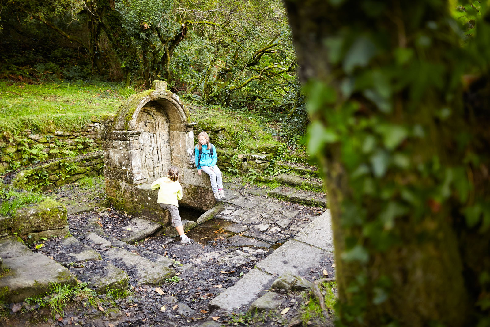 CRTBmorvan_MG_0047 CRTBmorvan_MG_0047