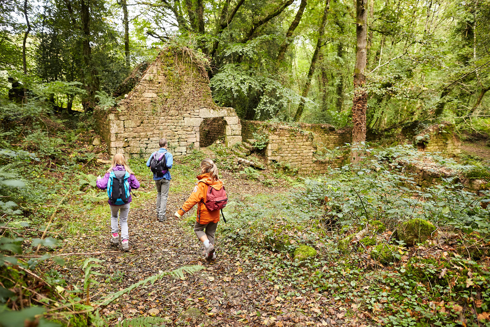 CRTBmorvan_MG_9725 CRTBmorvan_MG_9725