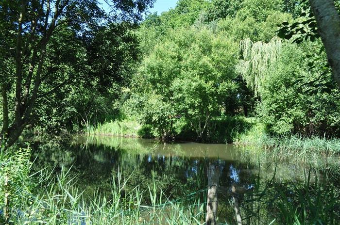Camping-Le-Villeu-Lancieux-nature-3 - ©Camping le Villeu