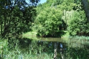 Camping-Le-Villeu-Lancieux-nature - ©Camping le Villeu