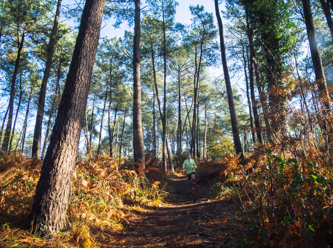 Loup, y es-tu ? - Trail en Brocéliande