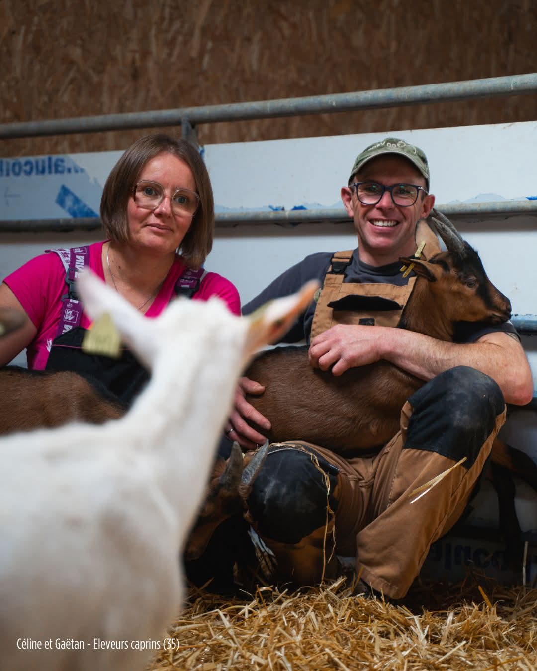 STESF 2026 : Visite d'une ferme de chèvres
