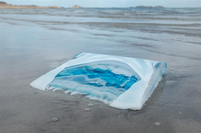 Chantal-Royant-sculpture-bord-de-mer - ©Chantal Royant
