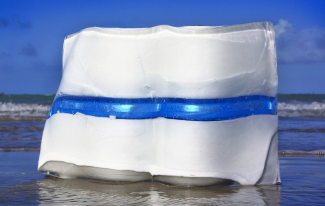 Chantal-Royant-sculpure-glace - ©Chantal Royant