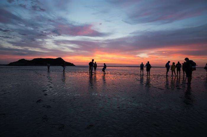 Chemins de la Baie du Mont Saint-Michel - 