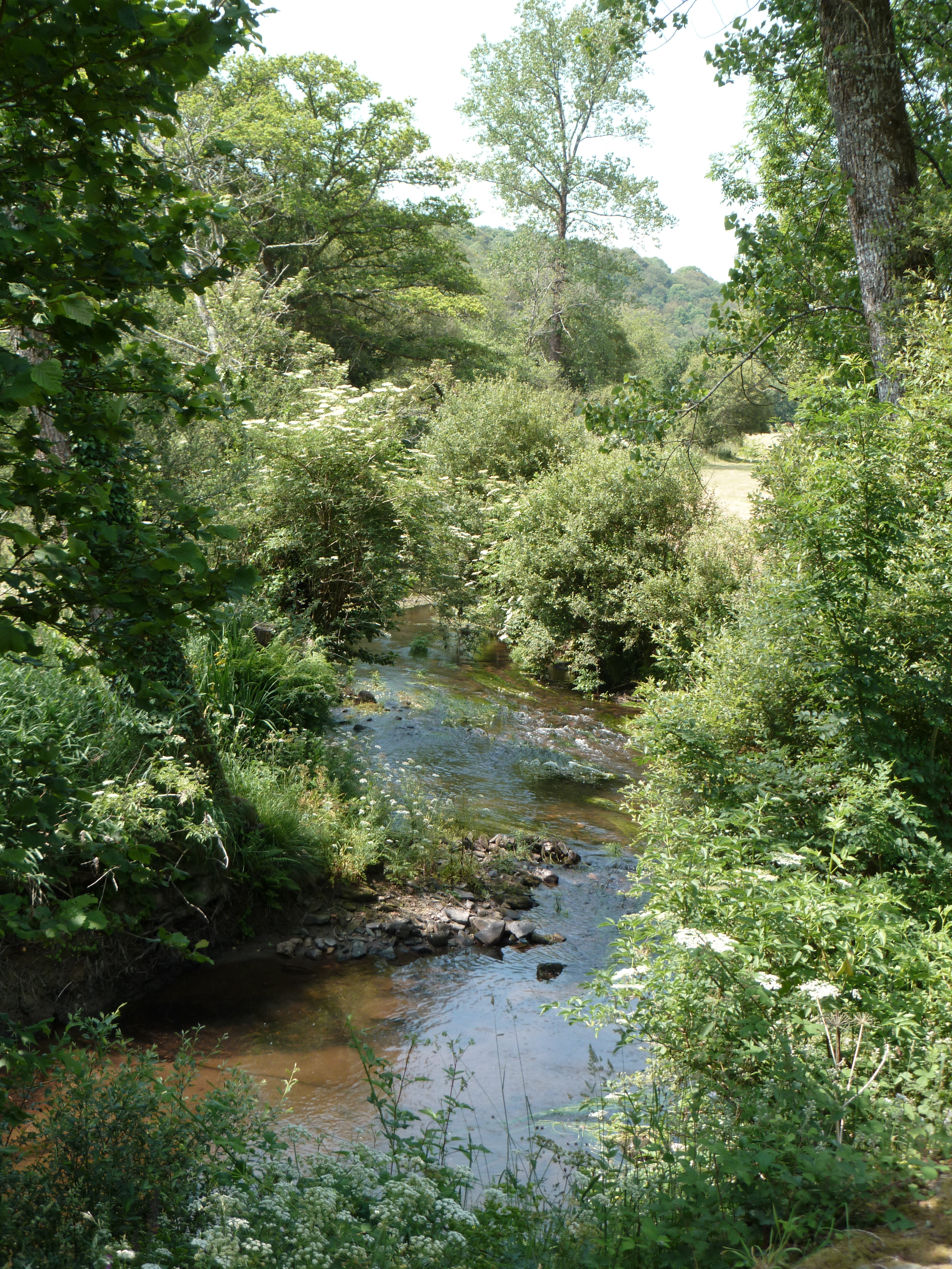 Circuit St Meen-St Tremeur - Le Saint - Pays roi Morvan - Morbihan bretagne sud - CP OTPRM (4)