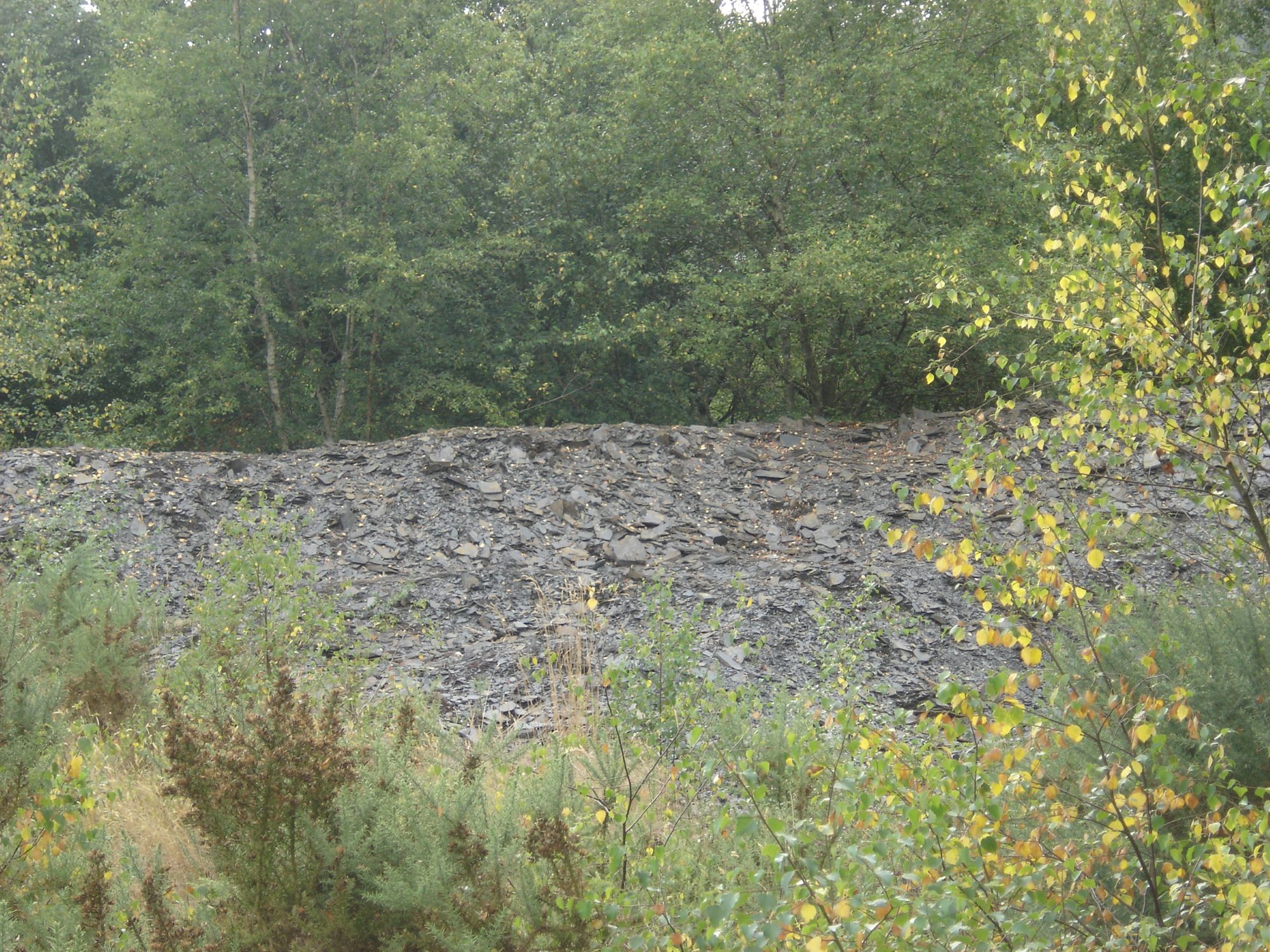 Circuit-des-carrieres---Gourin----Pays-roi-Morvan---Morbihan-bretagne-sud----CP-OTPRM--9- Circuit-des-carrieres---Gourin----Pays-roi-Morvan---Morbihan-bretagne-sud----CP-OTPRM--9-