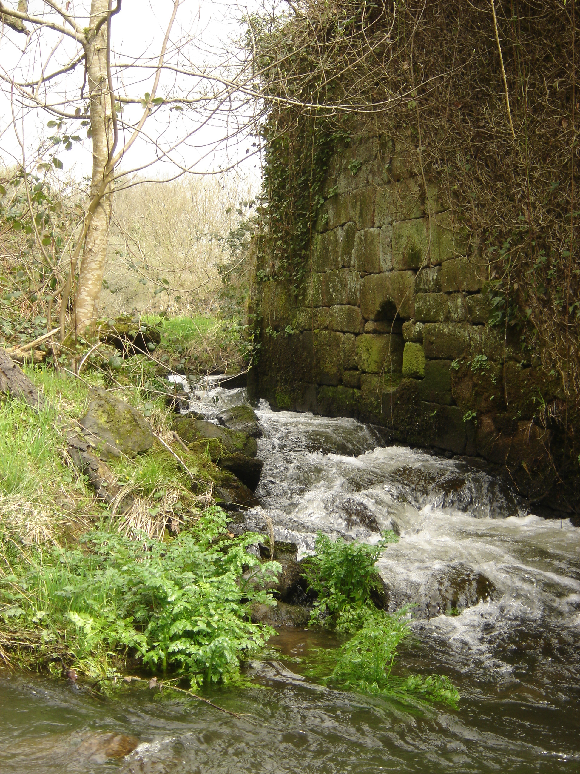 Circuit moulin Jourdu - Le Saint - - Pays roi Morvan - Morbihan bretagne sud - CP OTPRM (20)