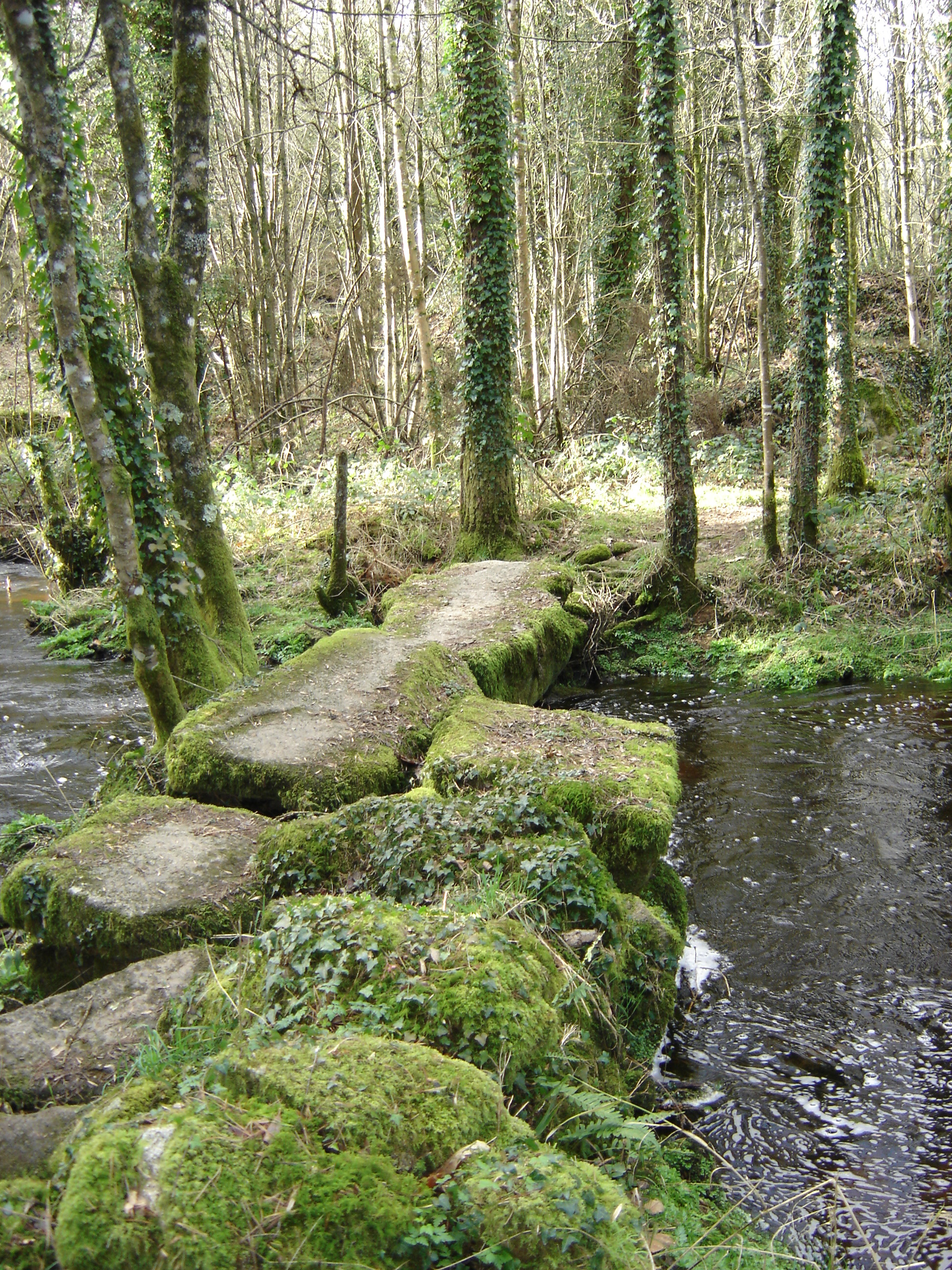 Circuit saint maur - Langonnet - Pays roi Morvan - Morbihan bretagne sud - CP OTPRM (1) Circuit saint maur - Langonnet - Pays roi Morvan - Morbihan bretagne sud - CP OTPRM (1)