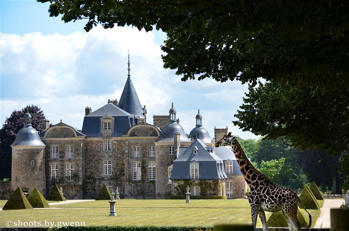 Château et Parc zoologique de la Bourbansais - Pleugueneuc - ©LaBourbansais