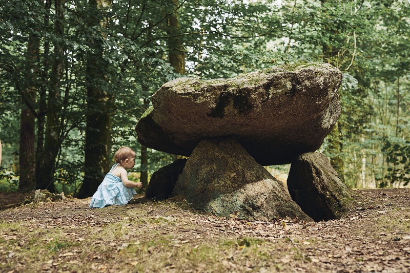 Dolmen du Roh-Du La Chapelle-Neuve forêt de Floranges Vallée du Blavet©A. Lamoureux