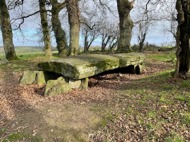 Dolmen de la Maison Trouvée - La Chapelle-Caro - Val d'Oust - Morbihan