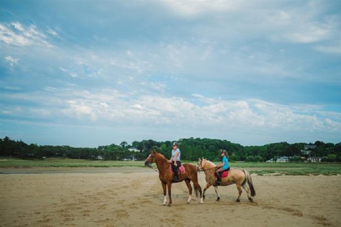 Equitation 2016 (2) - Les Cognets