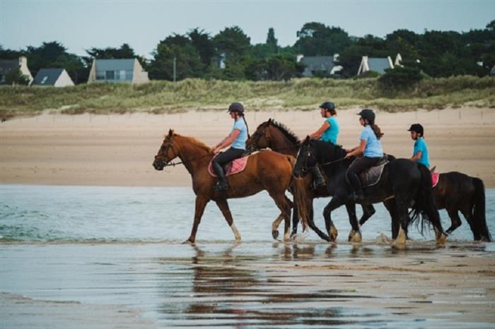 Equitation 2016 (3) - Les Cognets