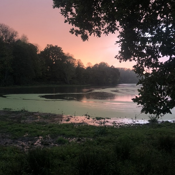 HASENN (10) - © Hasenn