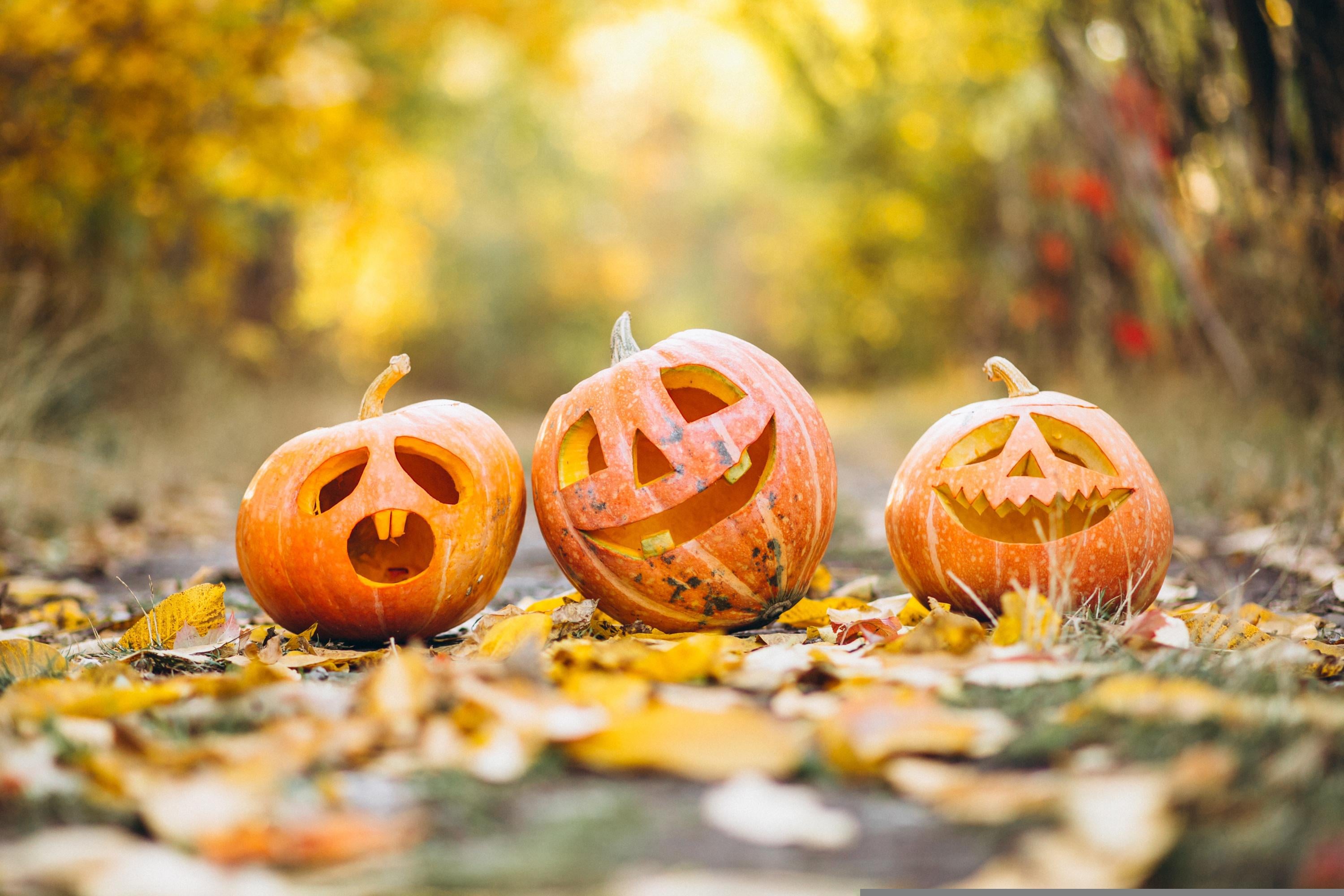 Grand jeu en Famille - Halloween