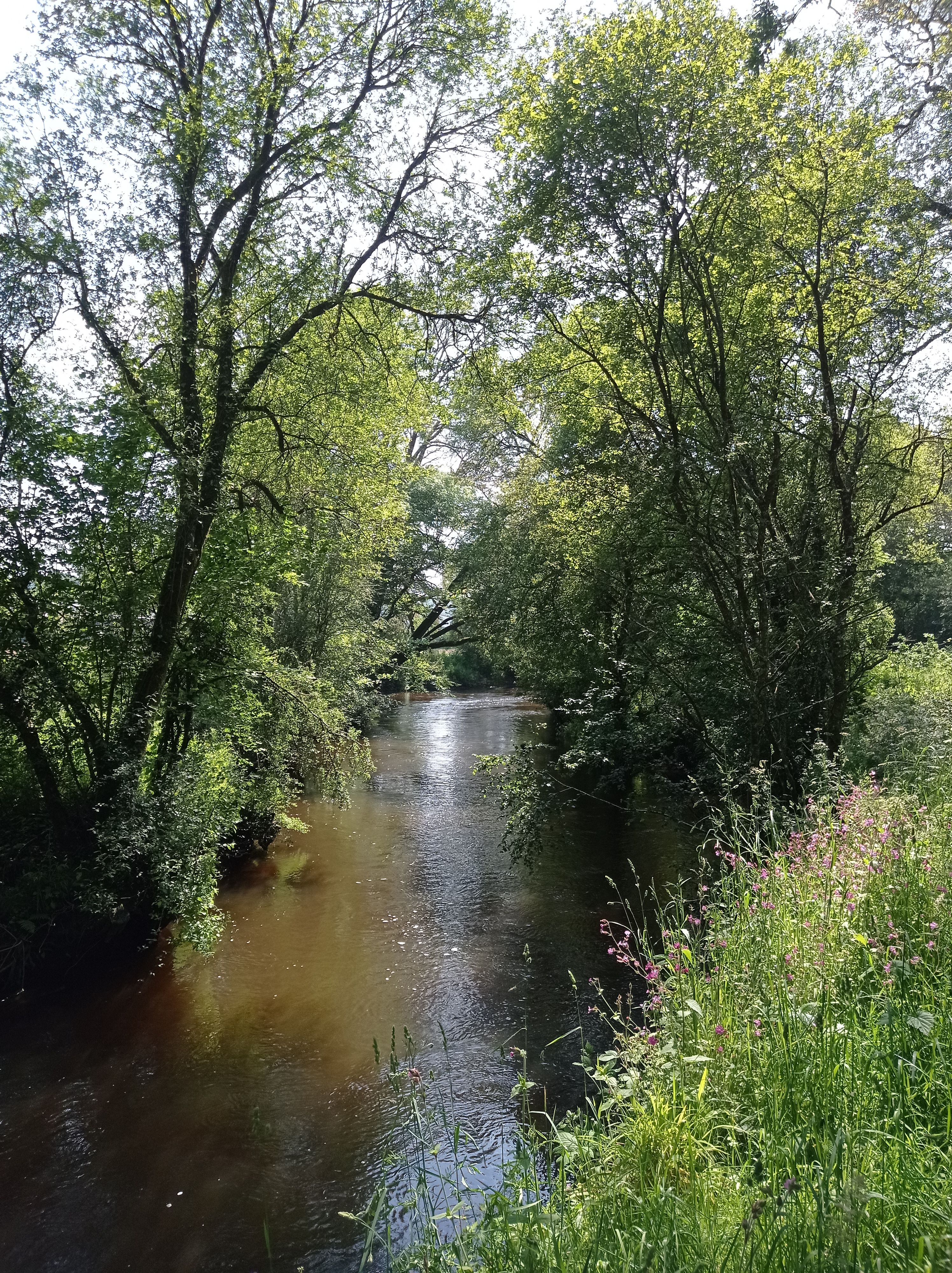 IMG_20240601_162405 IMG_20240601_162405