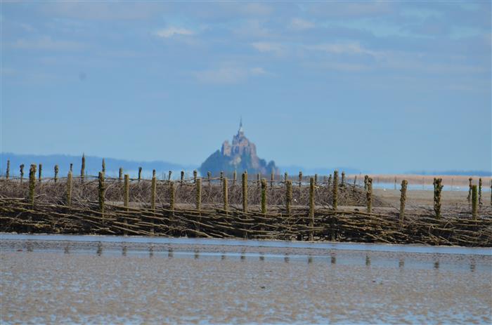 IMG_2026 (1) - 