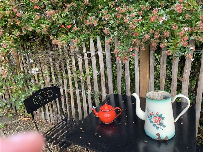 Jardin - ©Mme Vautier