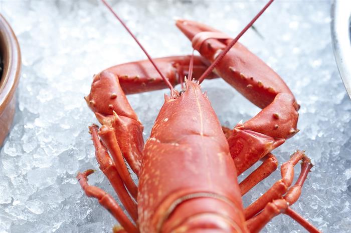 L-Abri-des-Flots-Dinard-homard - 