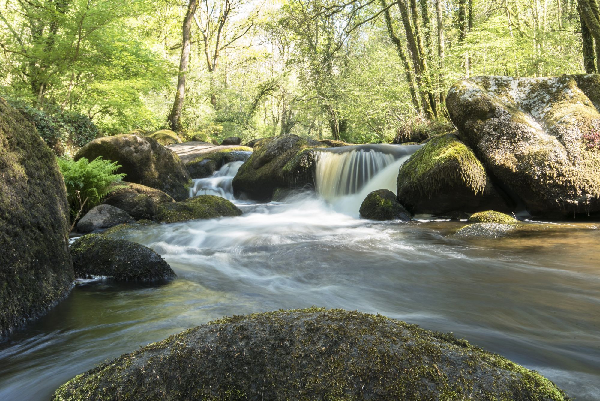 L-Elle-POSE-LONGUE-4 L-Elle-POSE-LONGUE-4