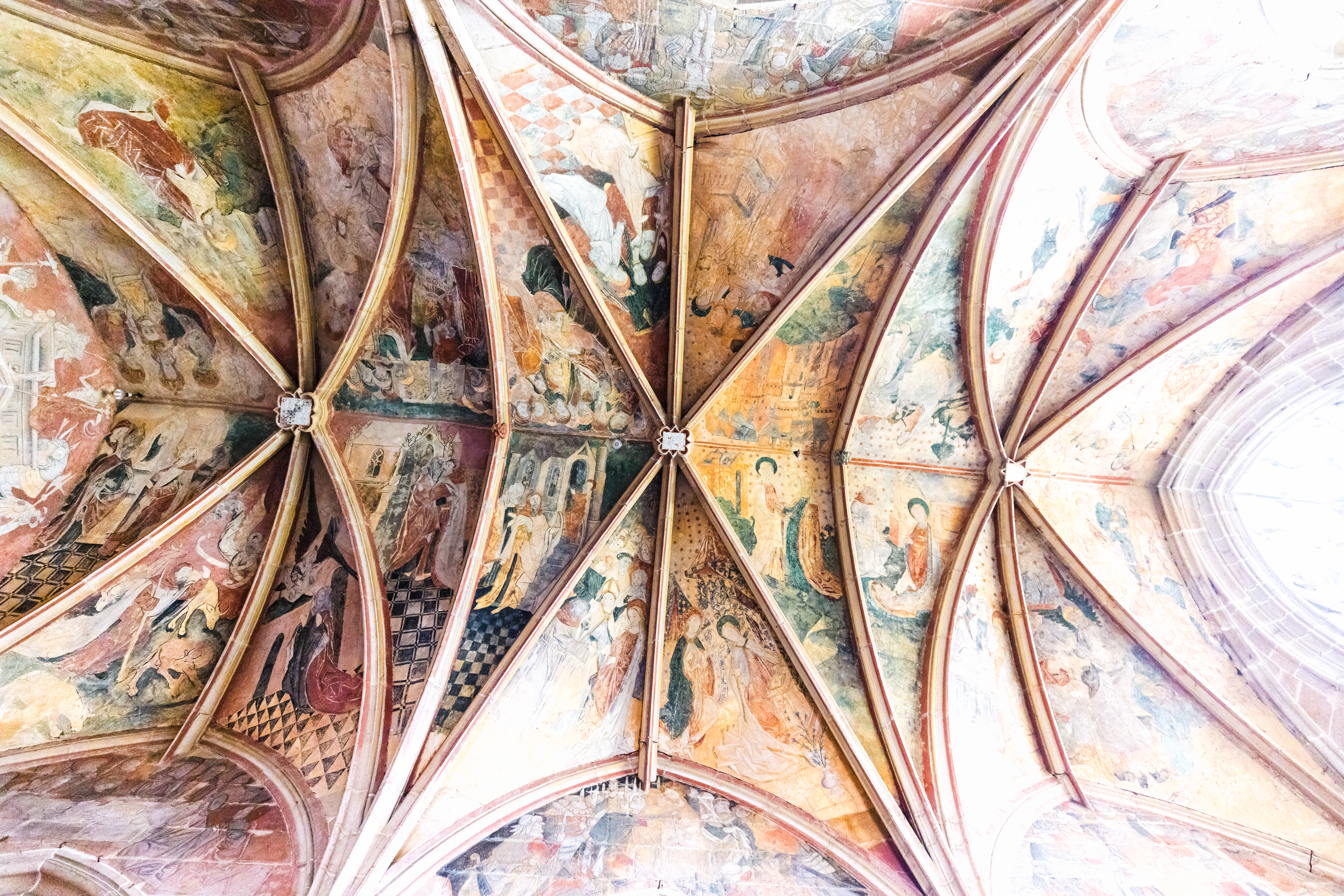 L'Oeil de Paco - Mylène Huguet - Maison de la chuve-souris (49)