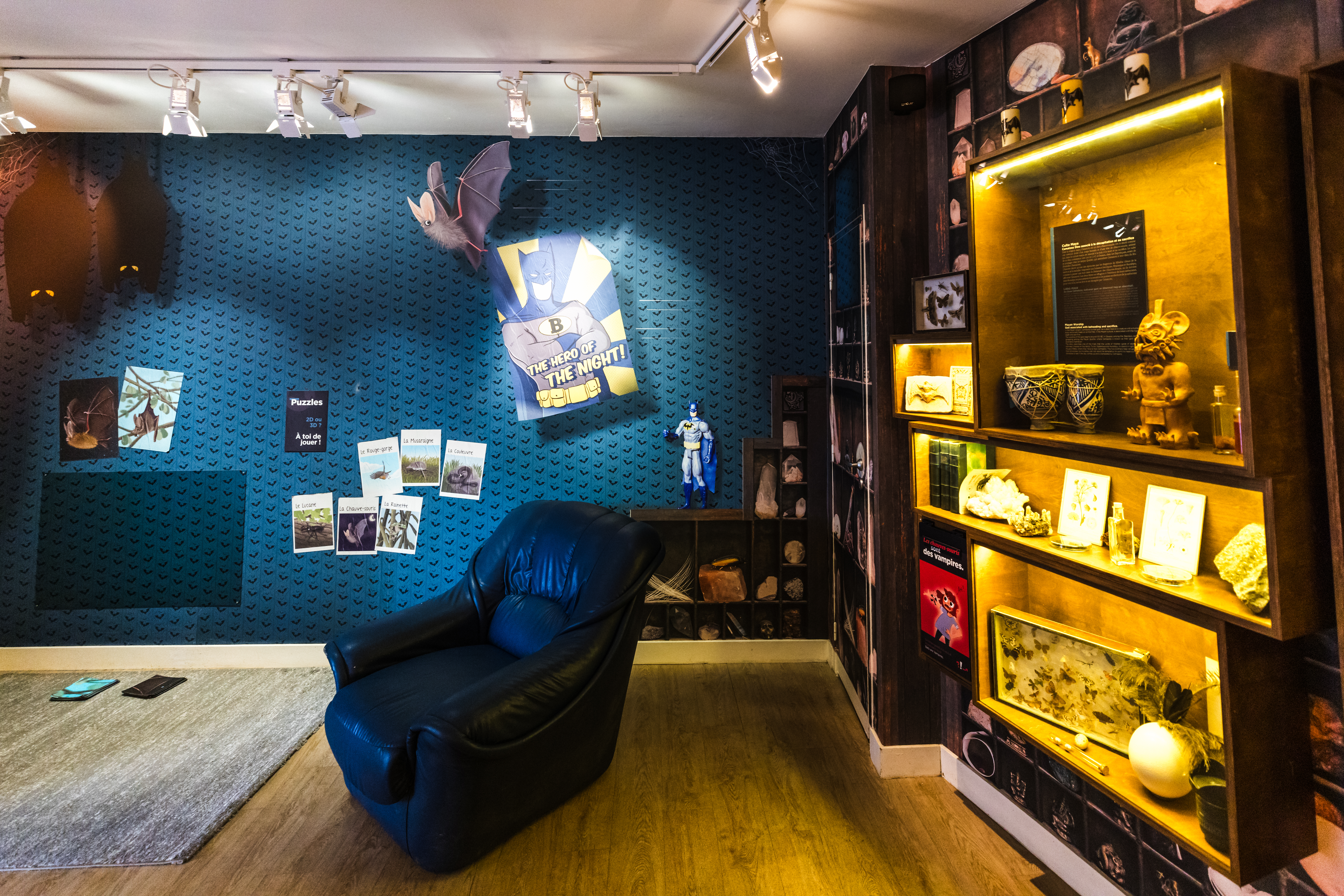 L'Oeil de Paco - Mylène Huguet - Maison de la chuve-souris (7)