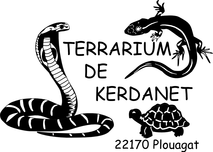 Visuel libre de droit  - Terrarium