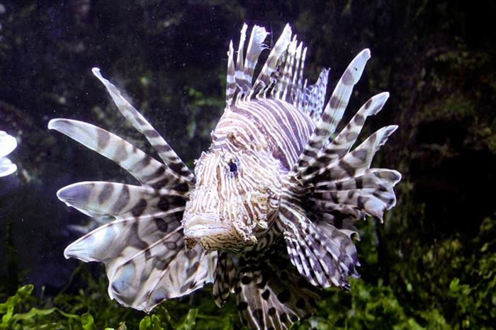 Grand Aquarium de Saint Malo - Grand Aquarium de Saint Malo