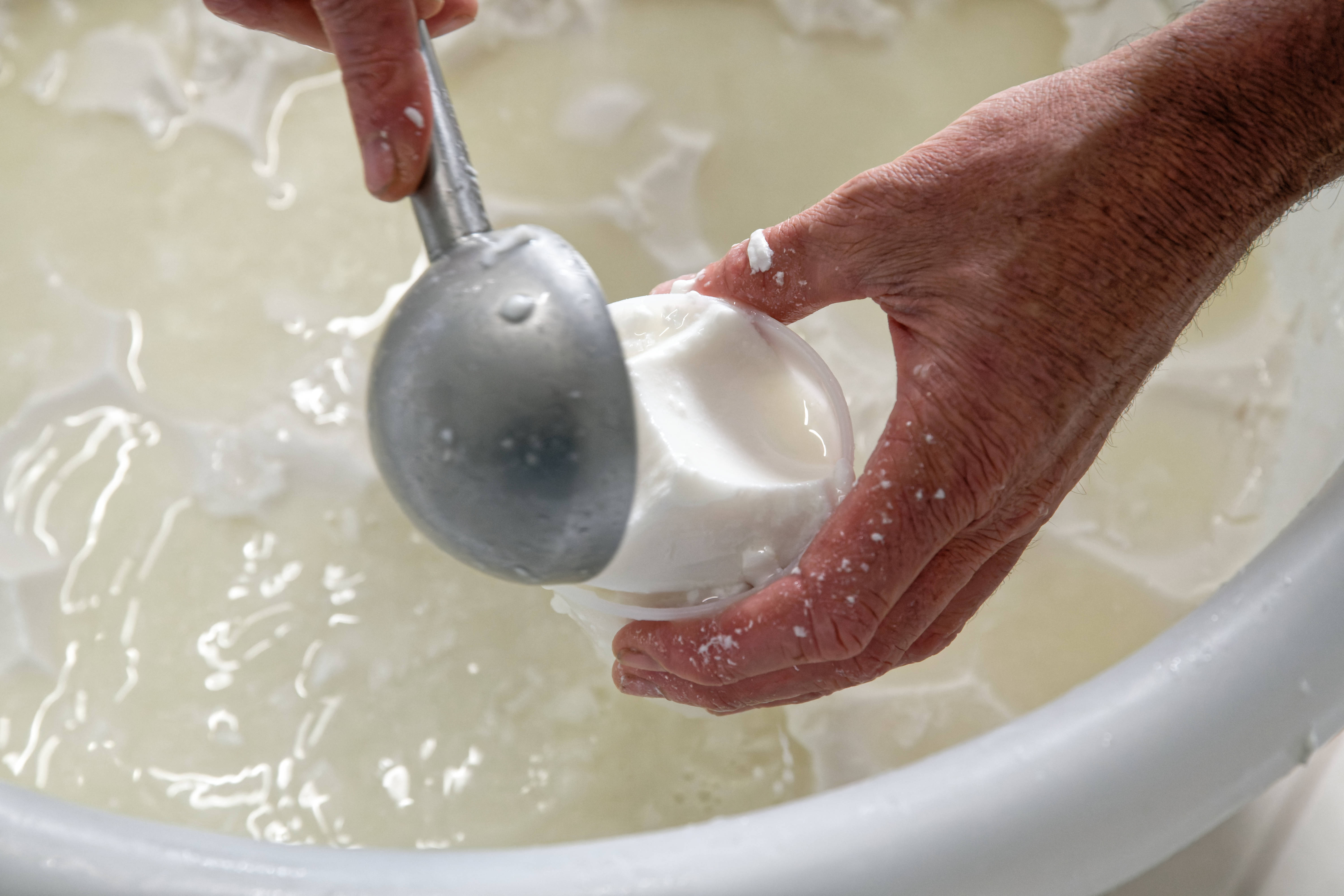 Visite à la chèvrerie de la poterie