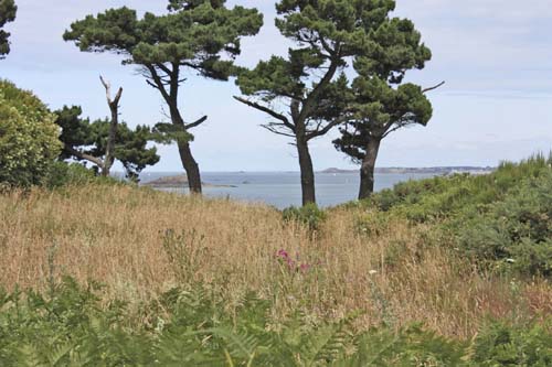 La Pointe du Nick - © N. Rudelle