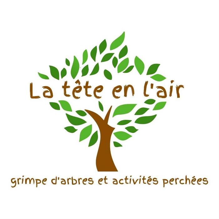 La tête en l'air_Cote d'Emeraude_Grimpe d'arbres_tous publics dont handicap_événements privés_collectivités_individuels - 
