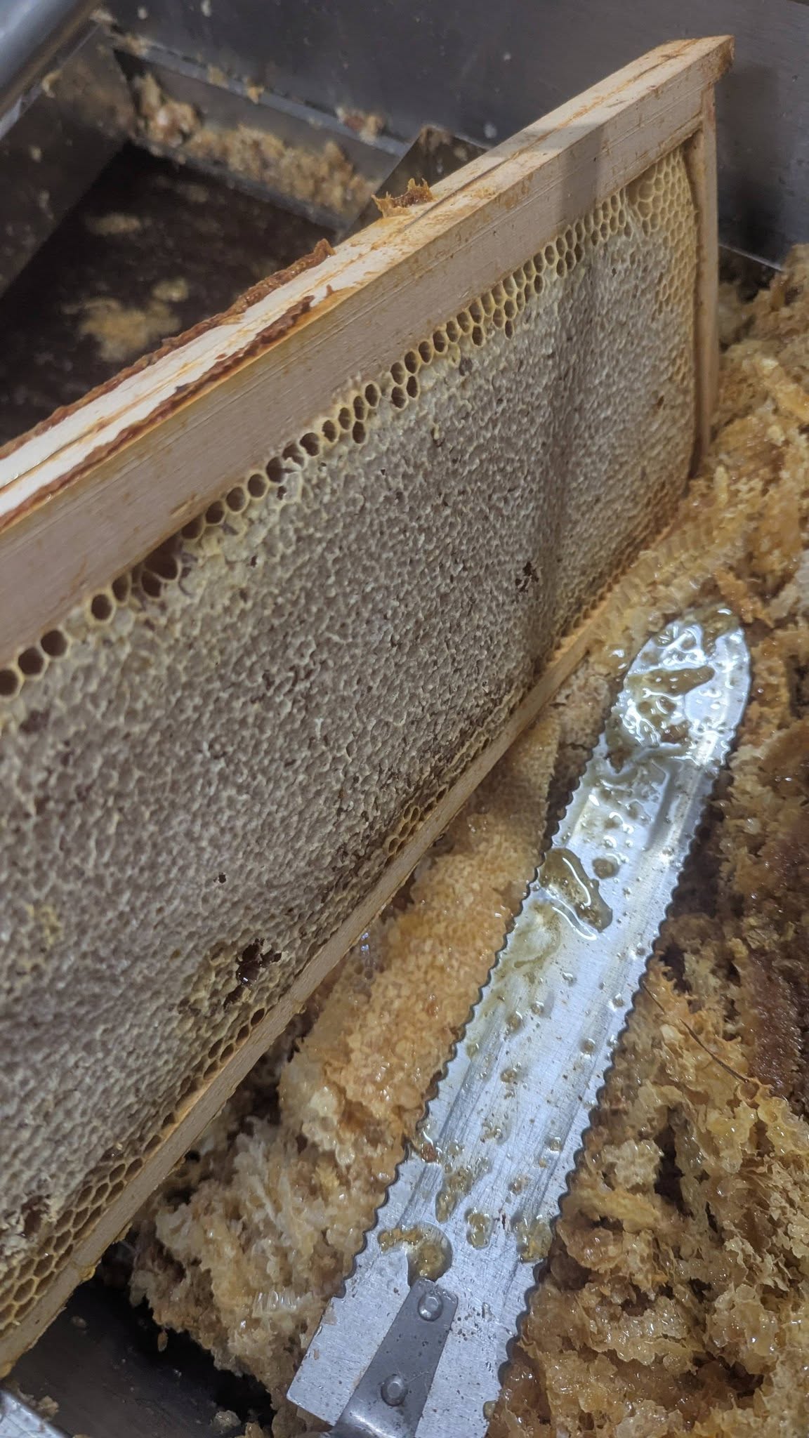 Visite des Ruchers d'Anne-Sophie