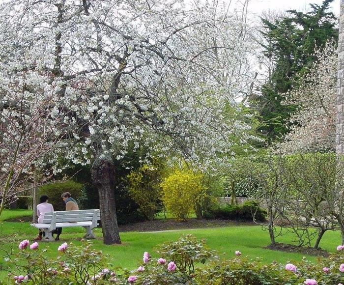 Maison-Saint-Francois-Dinard-Jardin - ©Maison Saint-François