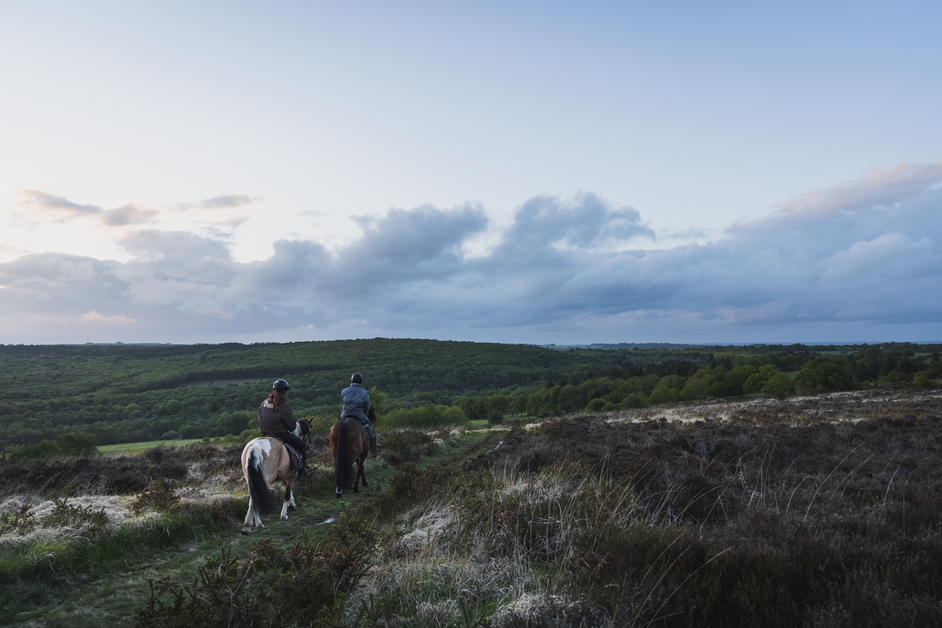 MtStJoseph2021-1046 MtStJoseph2021-1046