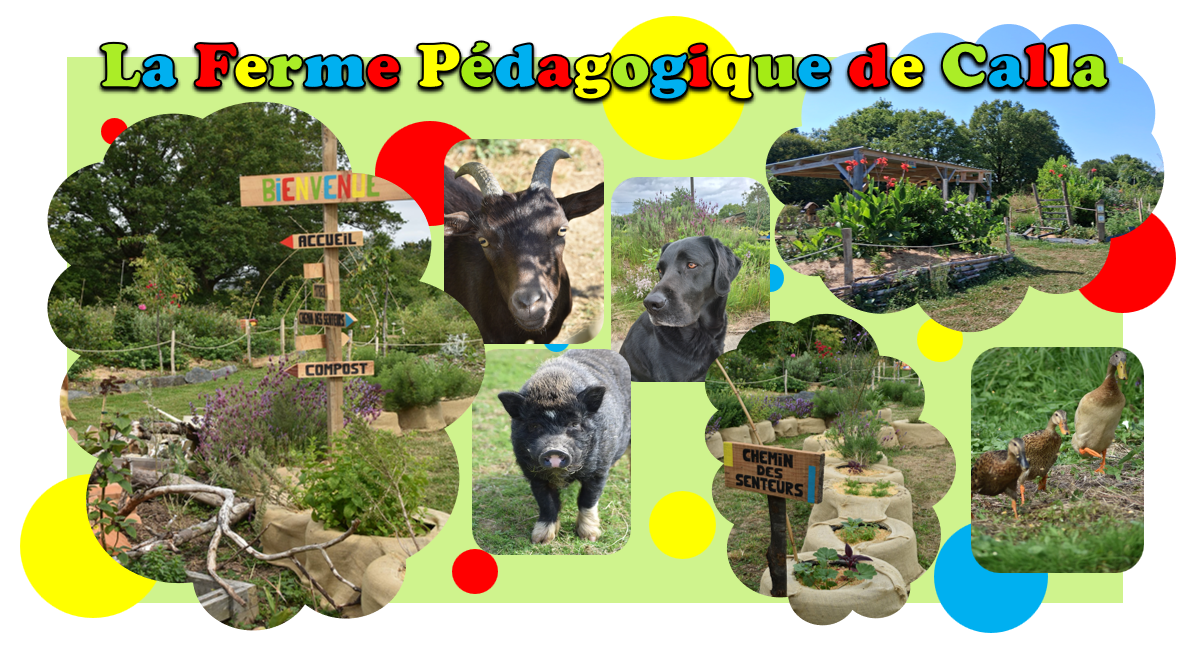 PHOTO-2026-LA FERME PEDAGOGIQUE DE CALLA - Ferme pédagogique de Calla