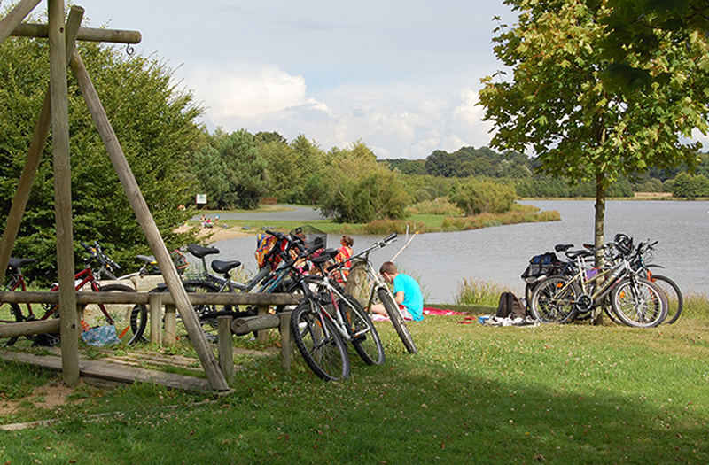 Etang de Buhel - Plessé - Alain Boden