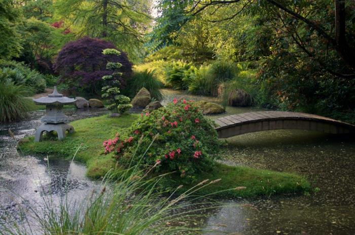 Parc-botanique-de-Haute-Bretagne-1 - 
