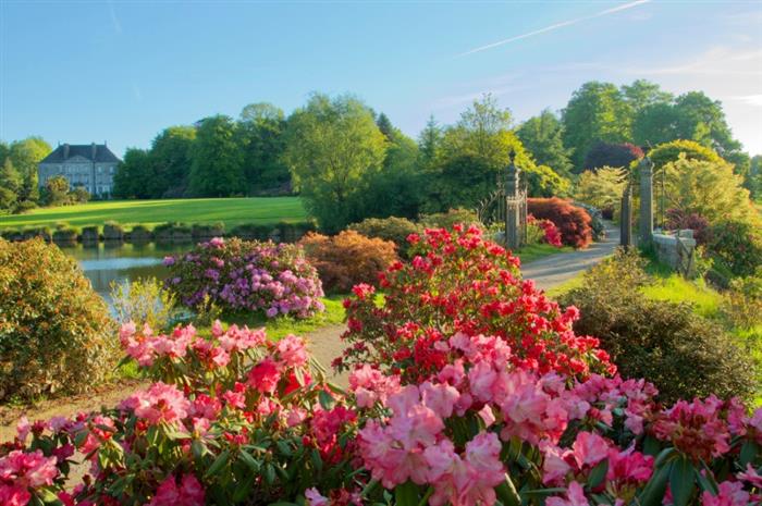 Parc-botanique-de-Haute-Bretagne-3 - 